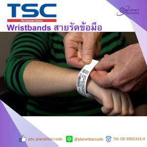 Wristbands สายรัดข้อมือ